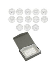 Arras Acero Plateado con estuche